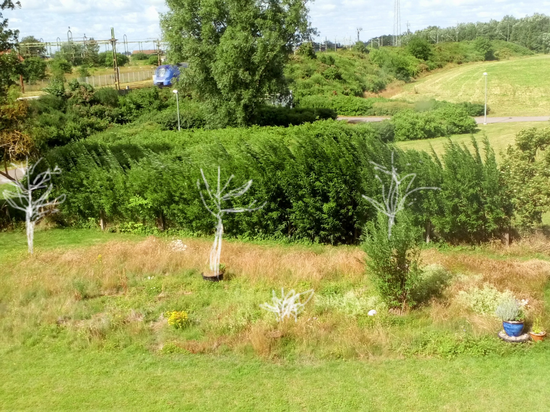 En nyttolund planeras 2019